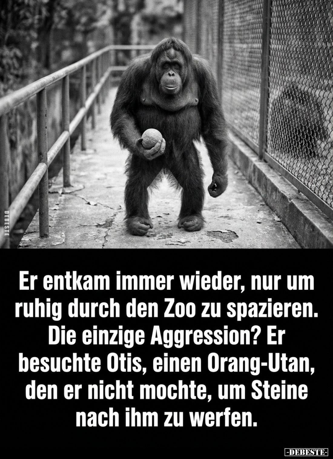 Er entkam immer wieder, nur um ruhig durch den Zoo.... - Lustige Bilder | DEBESTE.de