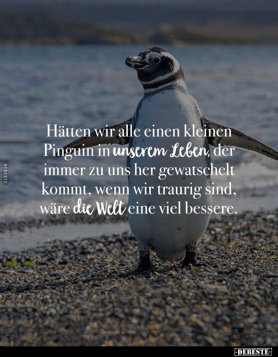 Pinguin, Leben, Wenn, Traurig