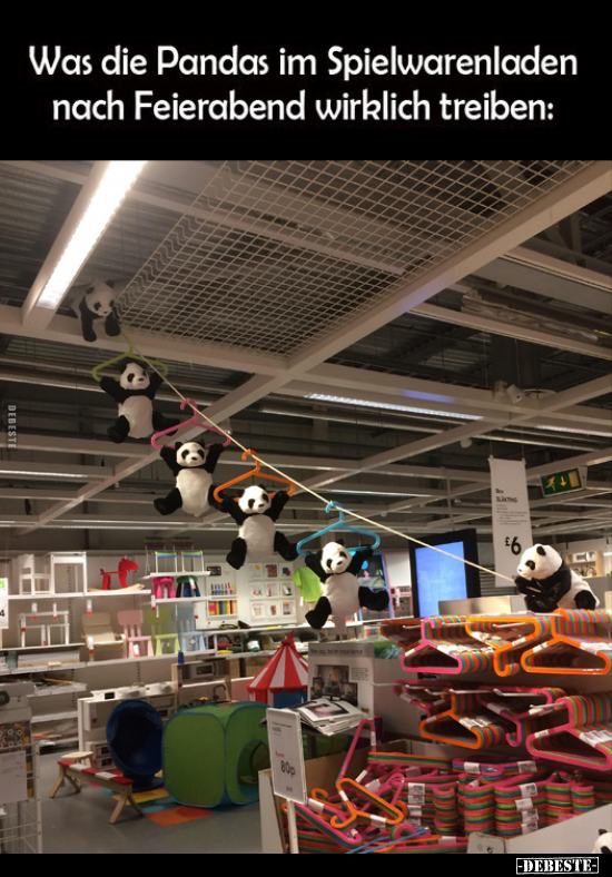 Was die Pandas im Spielwarenladen.. - Lustige Bilder | DEBESTE.de