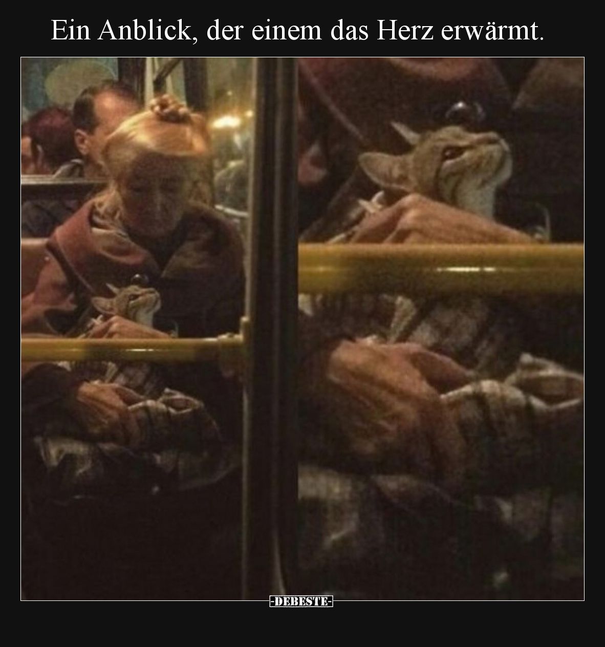 Ein Anblick, der einem das Herz erwärmt... - Lustige Bilder | DEBESTE.de