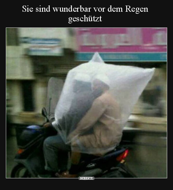 Sie sind wunderbar vor dem Regen geschützt.. - Lustige Bilder | DEBESTE.de