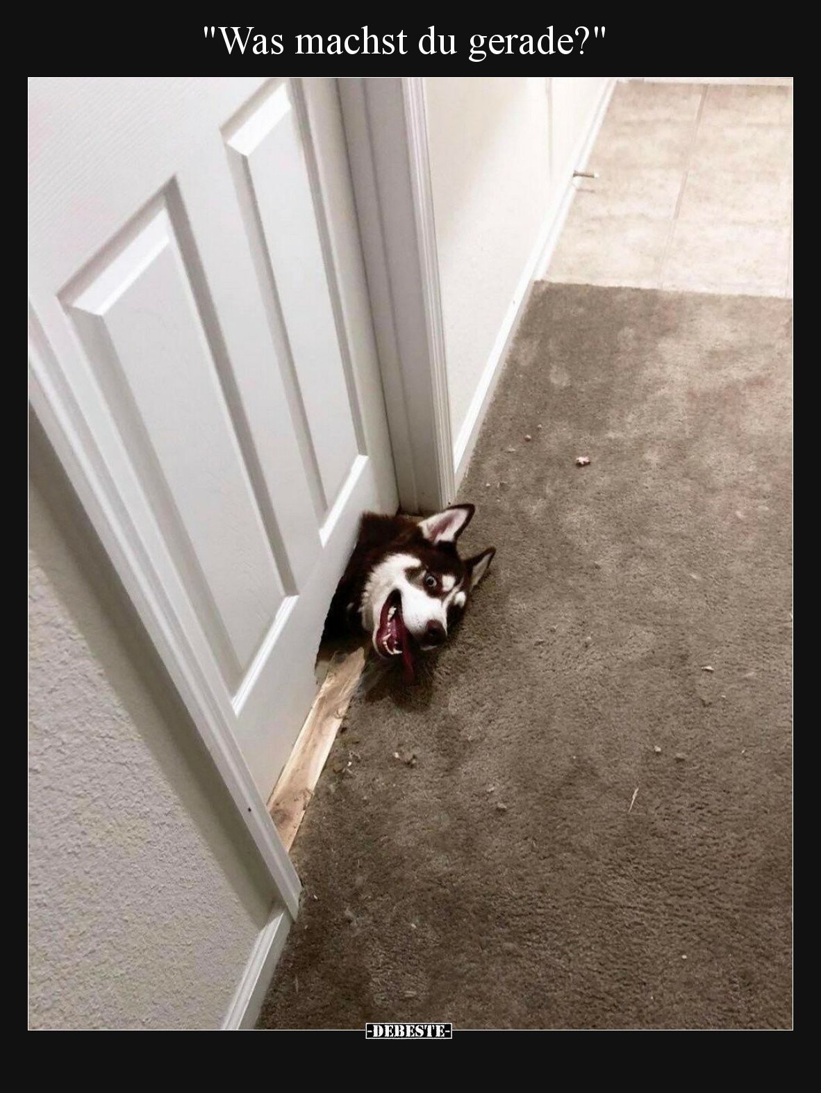 "Was machst du gerade?".. - Lustige Bilder | DEBESTE.de