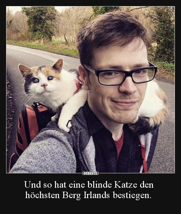 Und so hat eine blinde Katze den höchsten Berg..