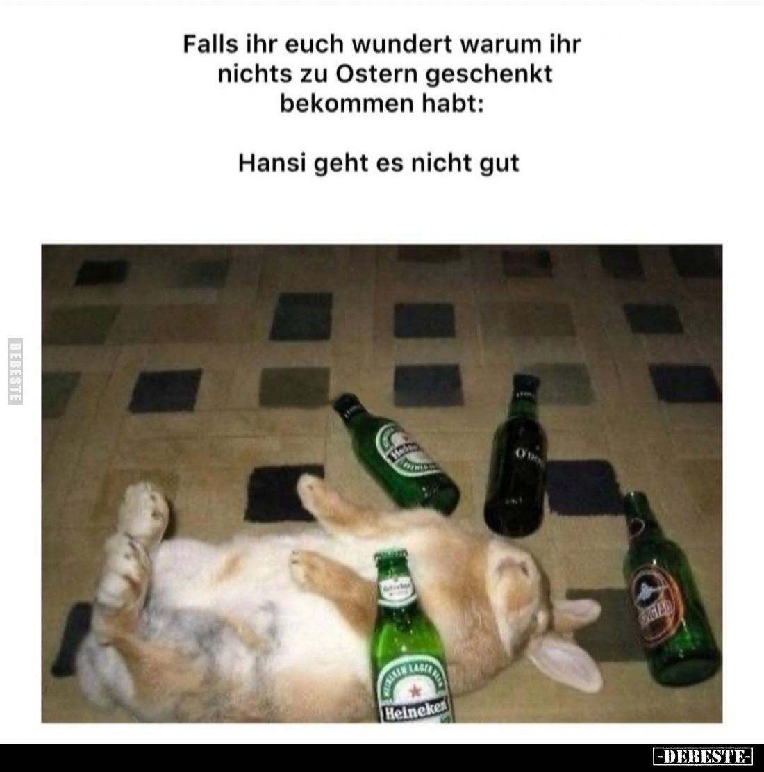 Falls ihr euch wundert warum ihr nichts zu Ostern geschenkt.. - Lustige Bilder | DEBESTE.de