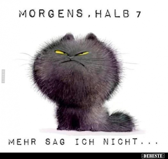 Morgens, halb 7.. - Lustige Bilder | DEBESTE.de