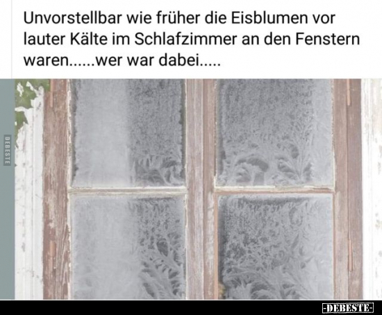Unvorstellbar wie früher die Eisblumen vor lauter Kälte im.. - Lustige Bilder | DEBESTE.de