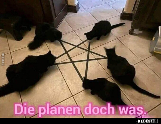 Die planen doch was.. - Lustige Bilder | DEBESTE.de