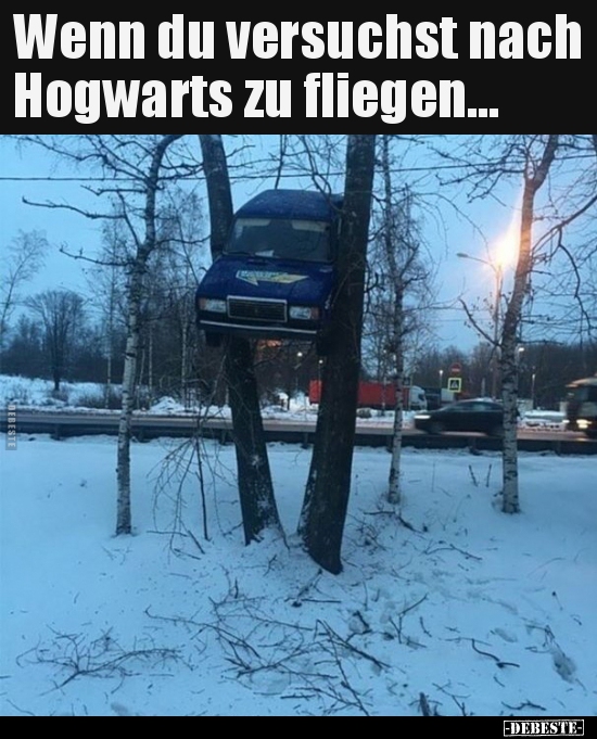 Wenn du versuchst nach Hogwarts zu fliegen... - Lustige Bilder | DEBESTE.de