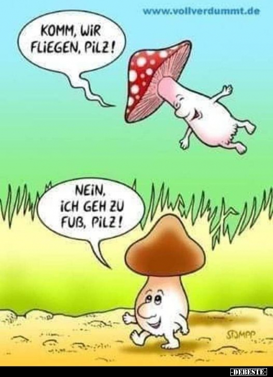 Komm, wir fliegen, Pilz! Nein, ich geh zu Fuß, Pilz!.. - Lustige Bilder | DEBESTE.de