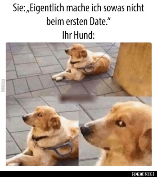 Lustige Bilder zum Thema: Date, Hund