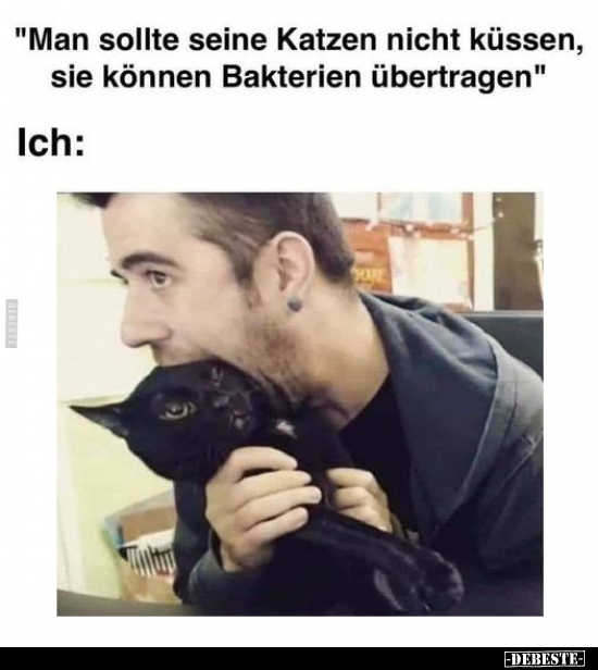 "Man sollte seine Katzen nicht küssen, sie können Bakterien.." - Lustige Bilder | DEBESTE.de