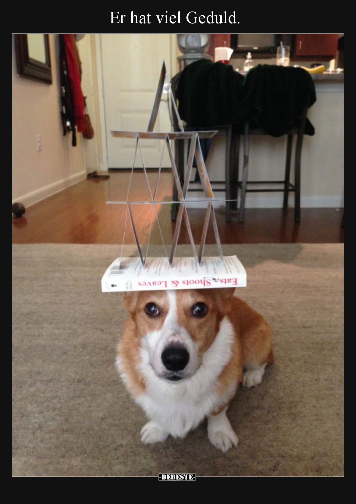 Er hat viel Geduld... - Lustige Bilder | DEBESTE.de