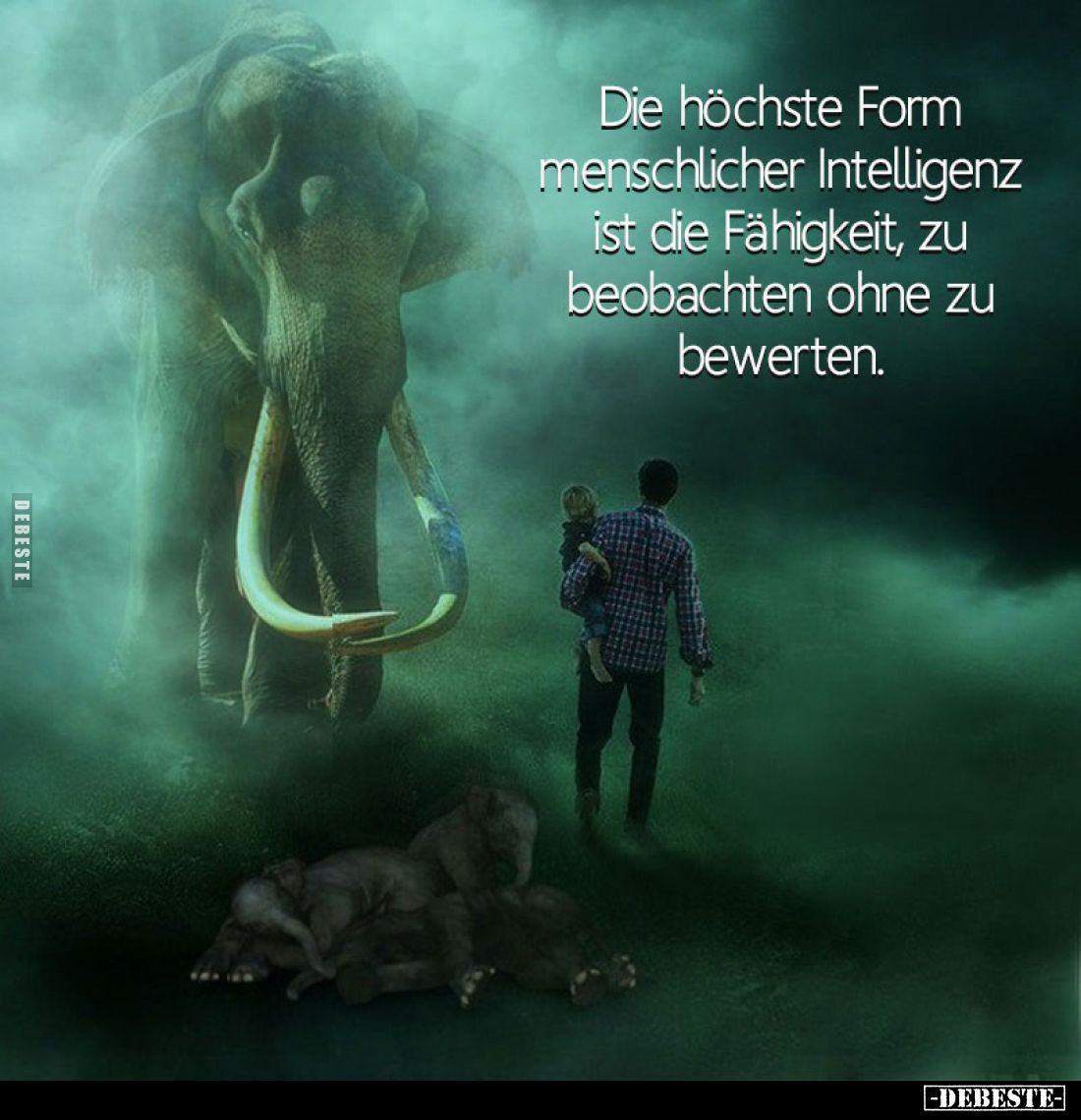 Die höchste Form menschlicher Intelligenz ist die Fähigkeit, zu beobachten ohne zu bewerten.