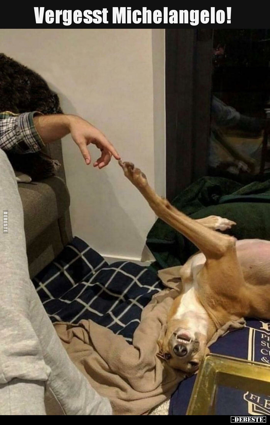 Vergesst Michelangelo!