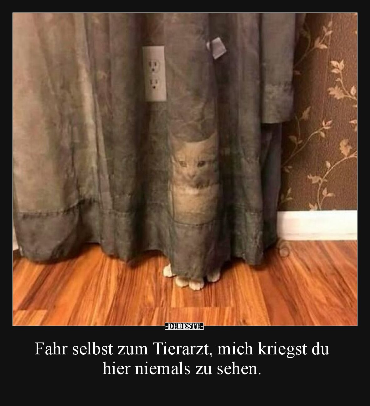 Fahr selbst zum Tierarzt, mich kriegst du hier niemals zu sehen.