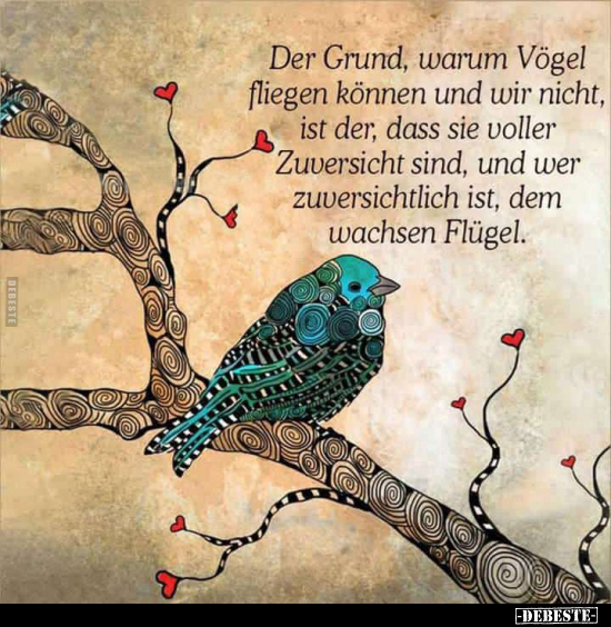 Der Grund, warum Vögel fliegen können und wir nicht.. - Lustige Bilder | DEBESTE.de