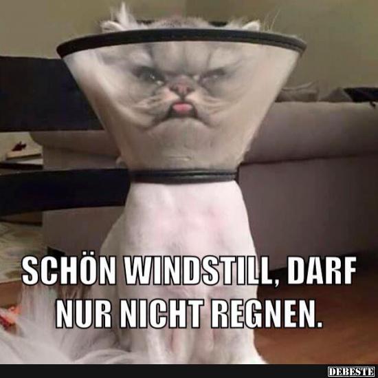 Schön windstill.. - Lustige Bilder | DEBESTE.de