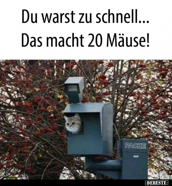 Du warst zu schnell... - Lustige Bilder | DEBESTE.de