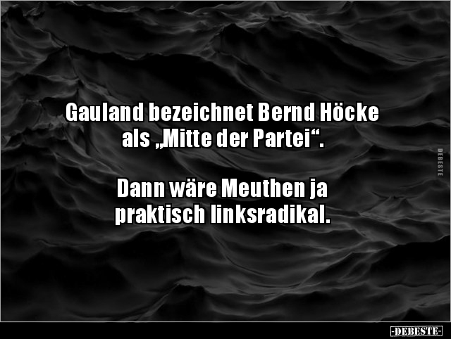 Gauland bezeichnet Bernd Höcke als „Mitte der.. - Lustige Bilder | DEBESTE.de