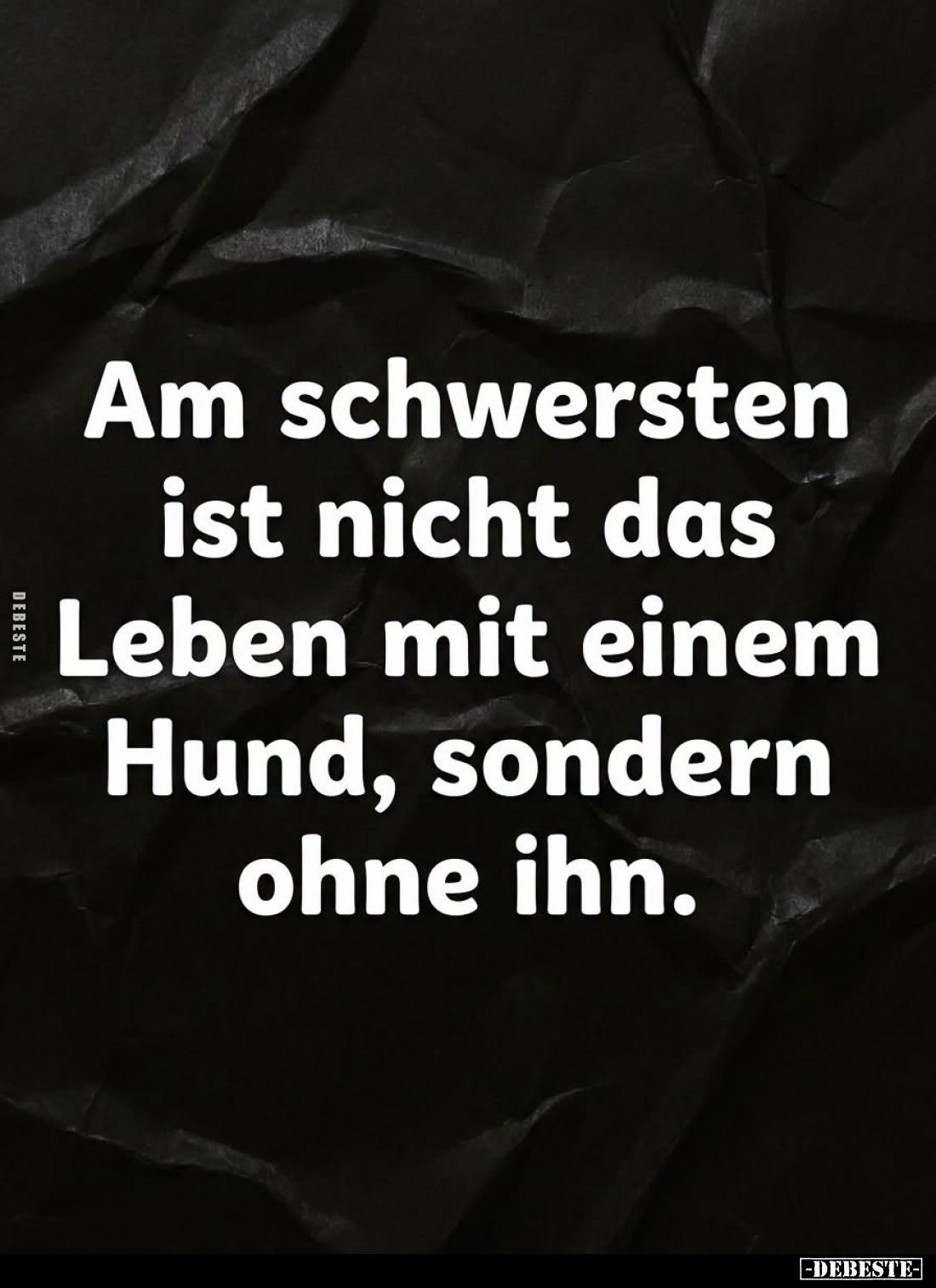 Am schwersten ist nicht das Leben mit einem Hund, sondern ohne ihn.