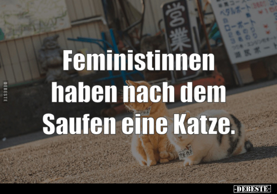 Feministinnen haben nach dem Saufen eine Katze... - Lustige Bilder | DEBESTE.de