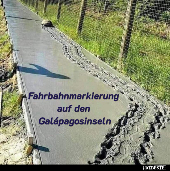 Fahrbahnmarkierung auf den Galápagosinseln..