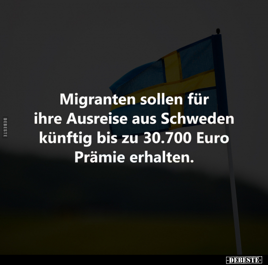 Migranten sollen für ihre Ausreise aus Schweden.. - Lustige Bilder | DEBESTE.de