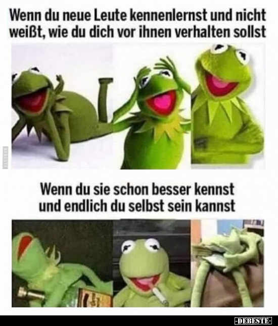 Wenn du neue Leute kennenlernst und nicht weißt, wie du.. - Lustige Bilder | DEBESTE.de