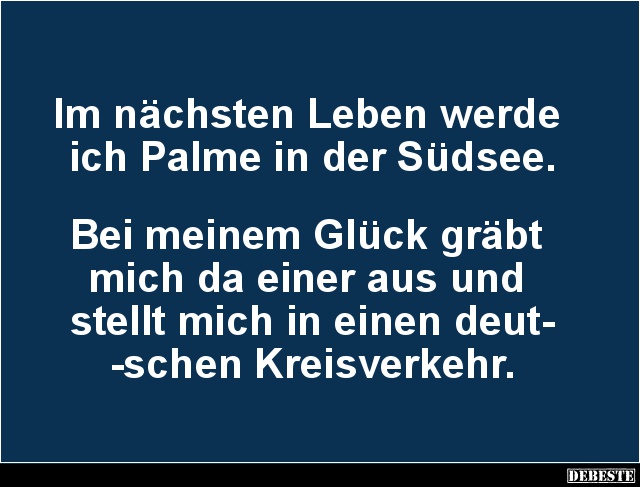 Im nächsten Leben werde ich Palme in der Südsee.. - Lustige Bilder | DEBESTE.de