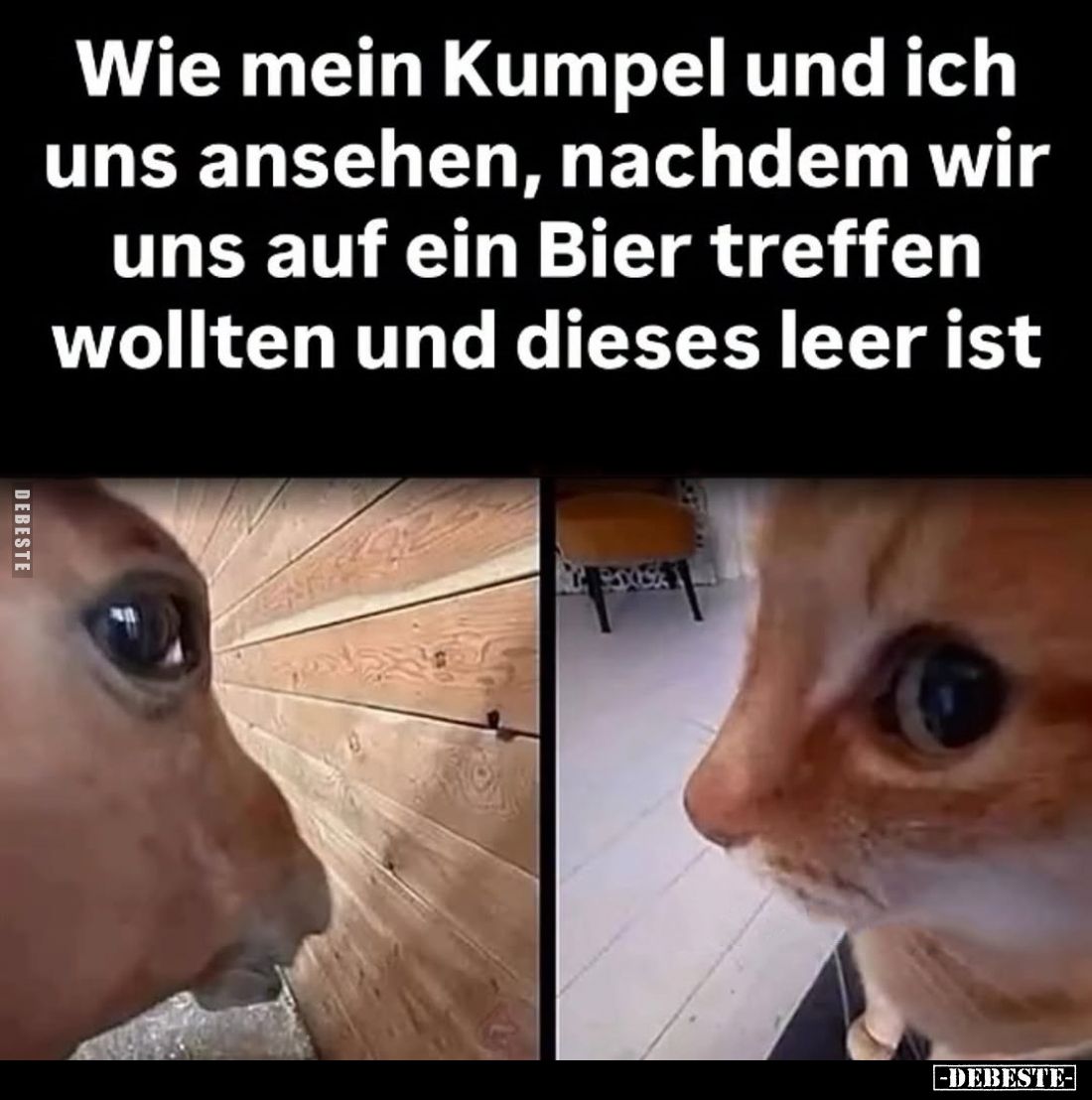 Wie mein Kumpel und ich uns ansehen, nachdem wir uns auf ein Bier treffen wollten und dieses leer ist.