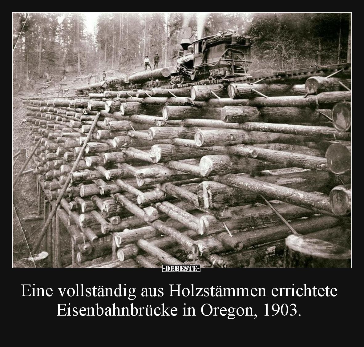 Eine vollständig aus Holzstämmen errichtete.. - Lustige Bilder | DEBESTE.de