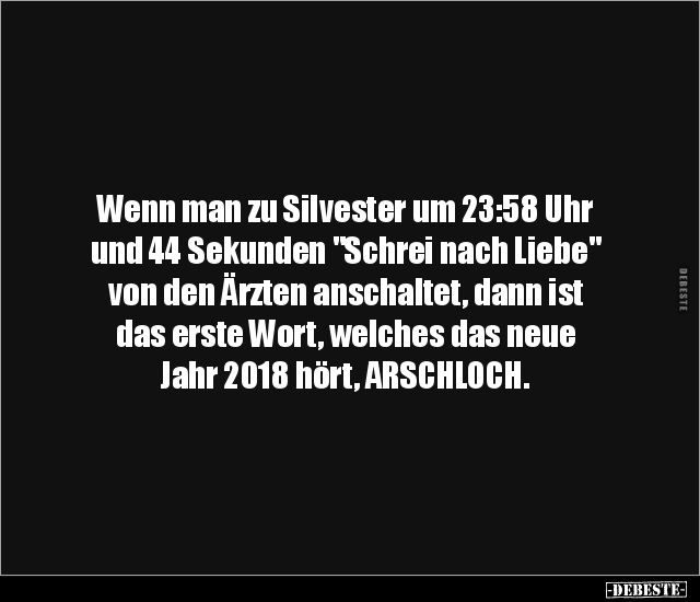 Wenn man zu Silvester um 23:58 Uhr und 44 Sekunden "Schrei.." - Lustige Bilder | DEBESTE.de