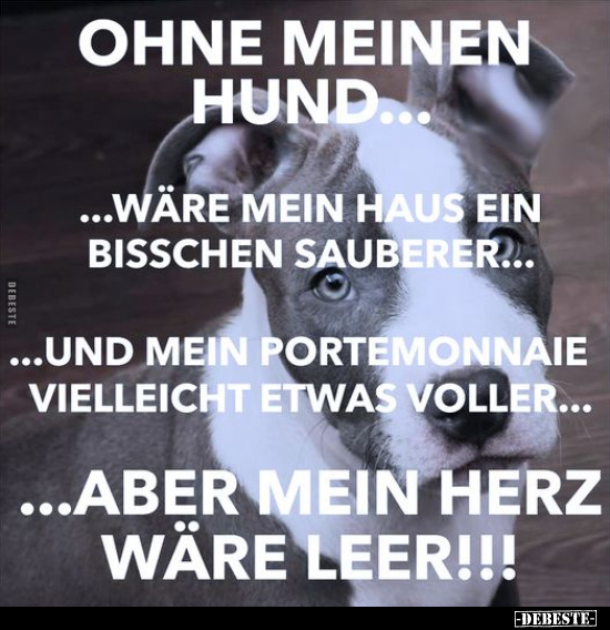 Ohne meinen Hund... ...wäre mein Haus ein bisschen.. - Lustige Bilder | DEBESTE.de