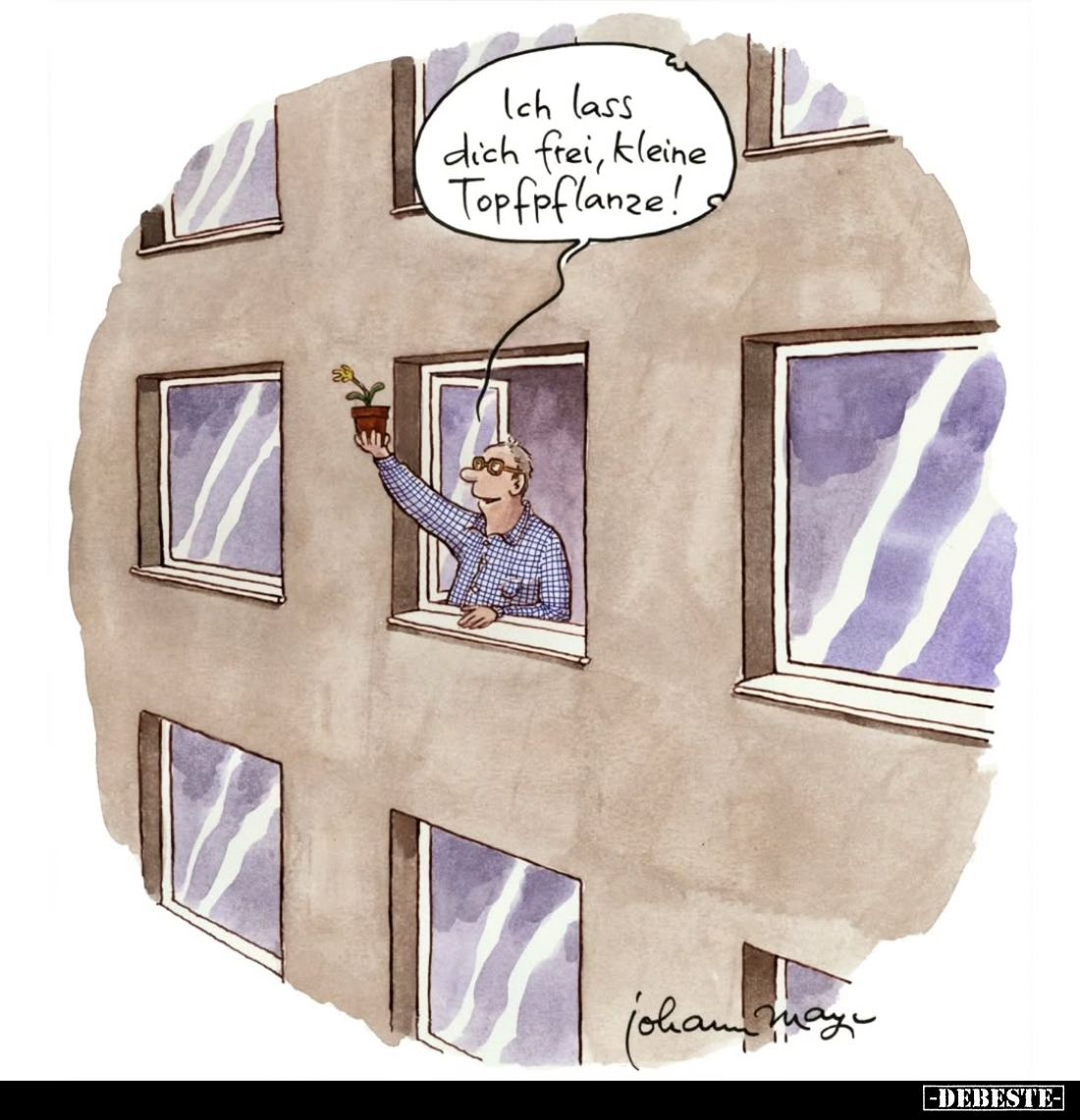 Ich lass dich frei, kleine Topfpflanze!