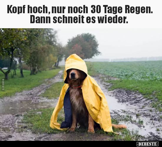 Kopf hoch, nur noch 30 Tage Regen.. - Lustige Bilder | DEBESTE.de