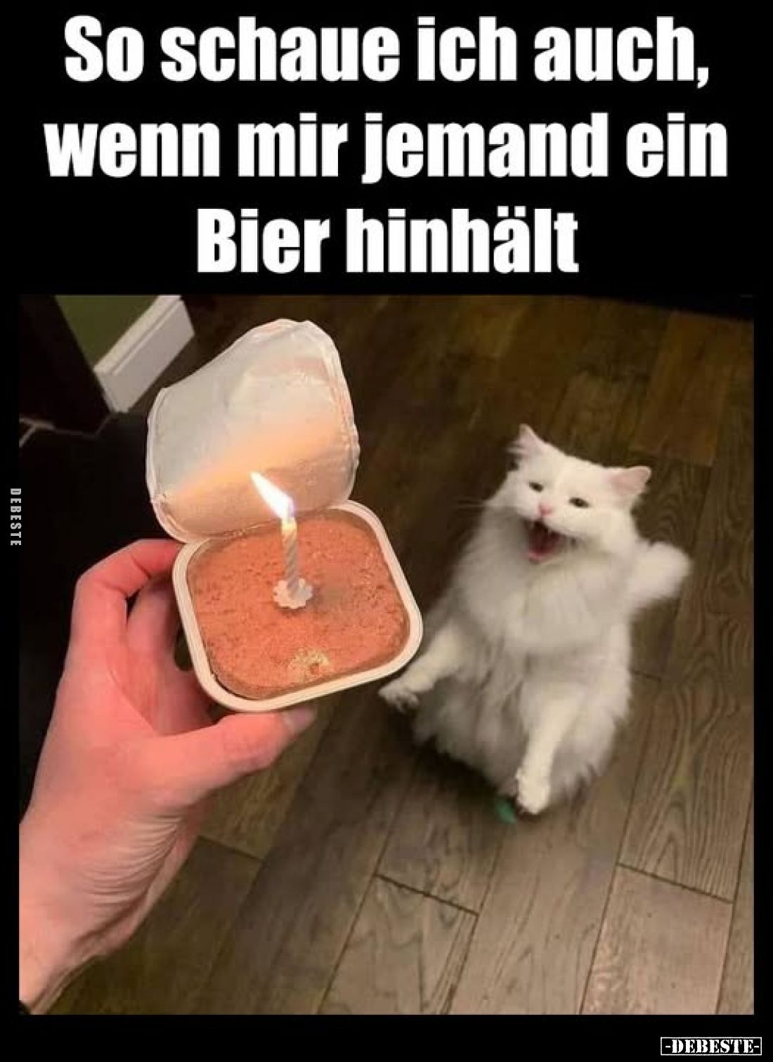 So schaue ich auch, wenn mir jemand ein Bier hinhält.