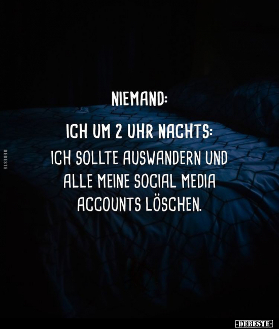 Niemand: Ich um 2 Uhr nachts: Ich sollte auswandern und.. - Lustige Bilder | DEBESTE.de