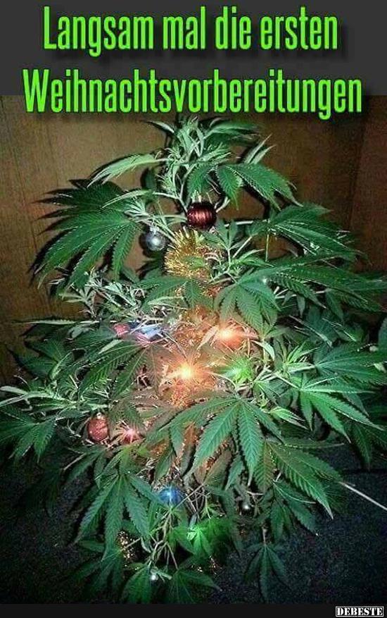 weihnachtsbaum lustig, tannenbaum lustige bilder, christbaum bilder, marihuana