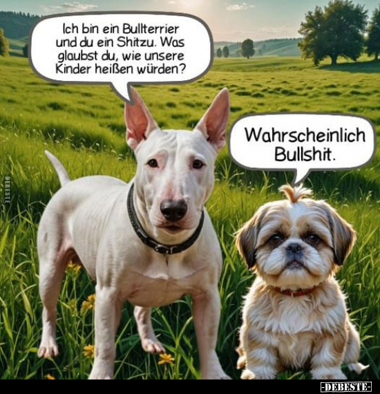 Ich bin ein Bullterrier und du ein Shitzu.. - Lustige Bilder | DEBESTE.de