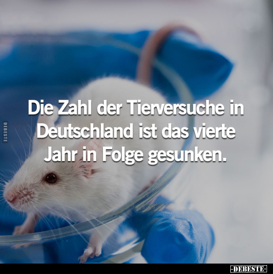 Die Zahl der Tierversuche in Deutschland.. - Lustige Bilder | DEBESTE.de