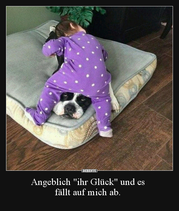 Angeblich "ihr Glück" und es fällt auf mich ab... - Lustige Bilder | DEBESTE.de