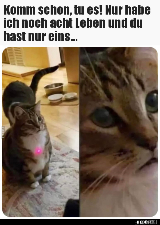 Komm schon, tu es! Nur habe ich noch acht Leben und du hast nur eins...