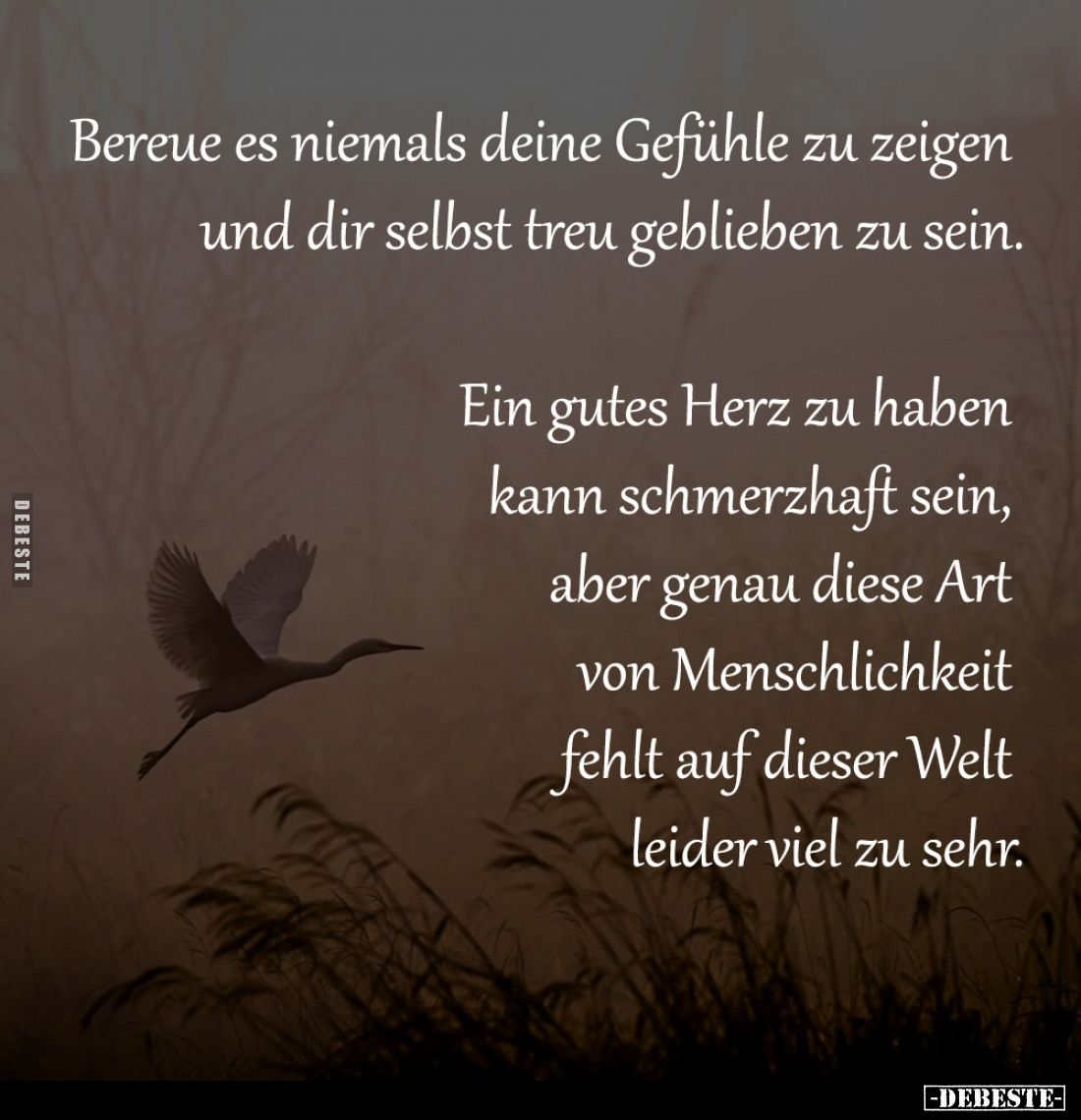 Bereue es niemals deine Gefühle 
zu zeigen und dir selbst treu 
geblieben zu sein.

Ein gutes Herz zu haben kann 
schmer...
