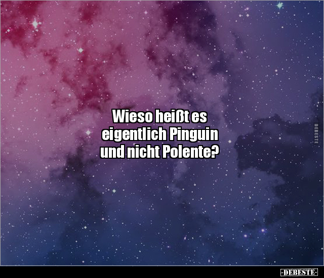 Wieso heißt es eigentlich Pinguin und nicht Polente?.. - Lustige Bilder | DEBESTE.de