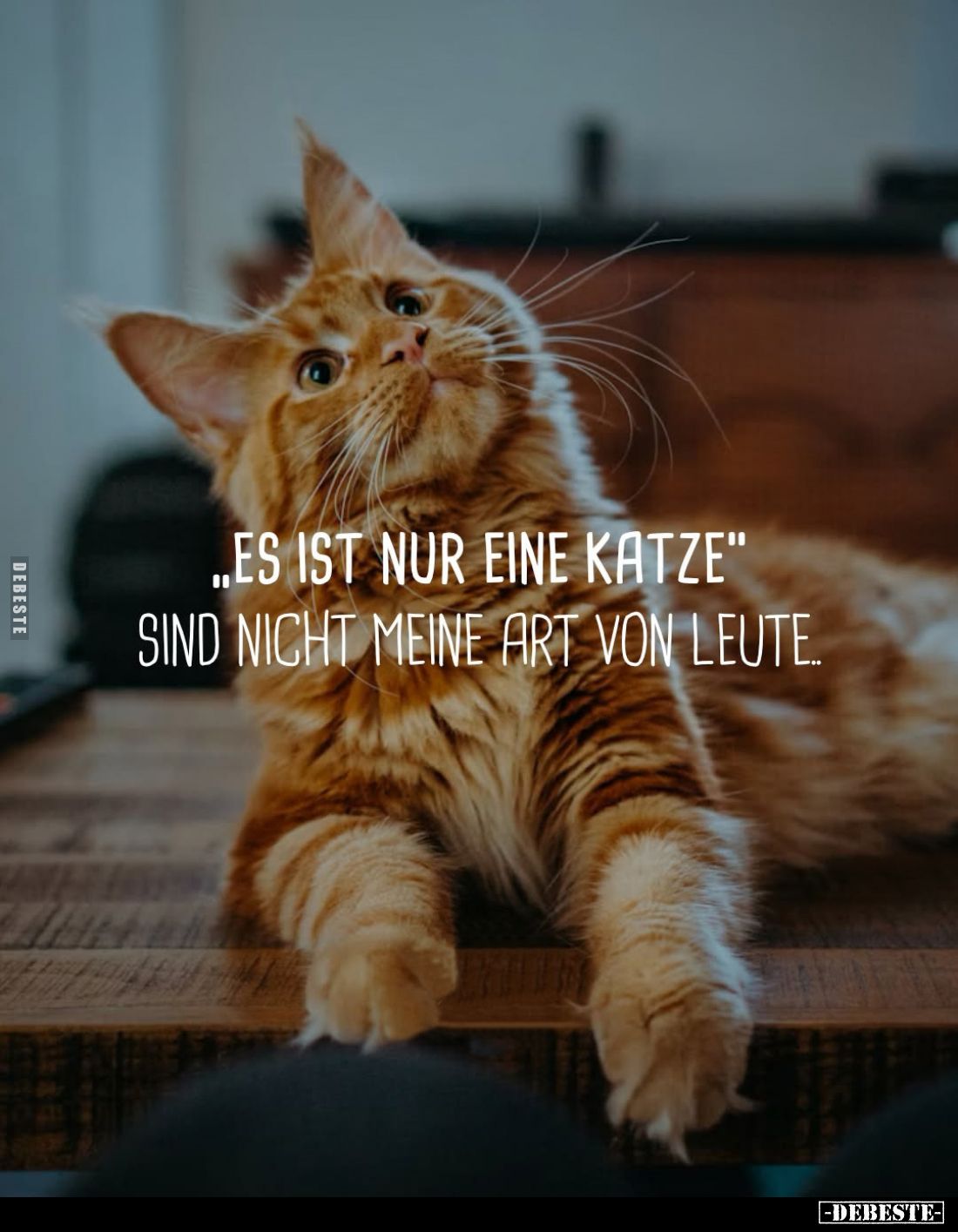 "Es ist nur eine Katze" sind nicht meine Art von Leute.. - Lustige Bilder | DEBESTE.de