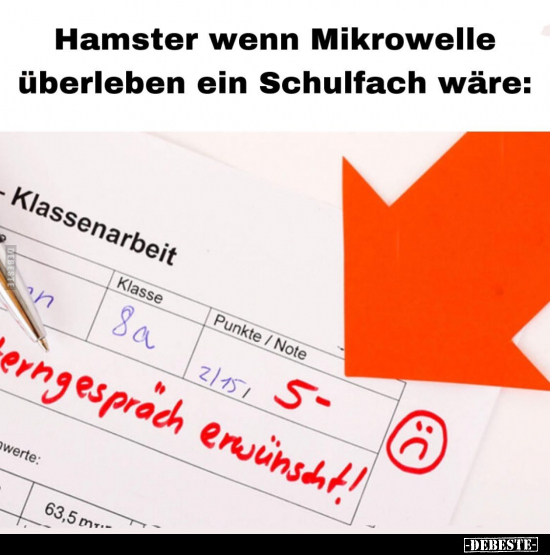 Hamster wenn Mikrowelle überleben ein Schulfach wäre.. - Lustige Bilder | DEBESTE.de