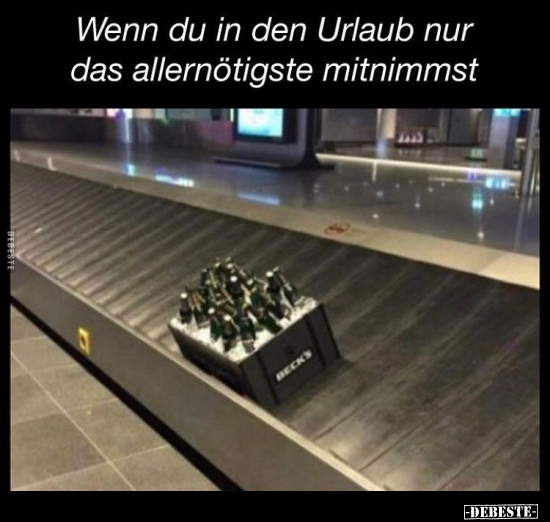 Wenn du in den Urlaub nur das allernötigste mitnimmst.. - Lustige Bilder | DEBESTE.de