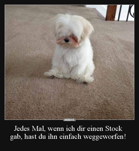 Jedes Mal, wenn ich dir einen Stock gab, hast du ihn..