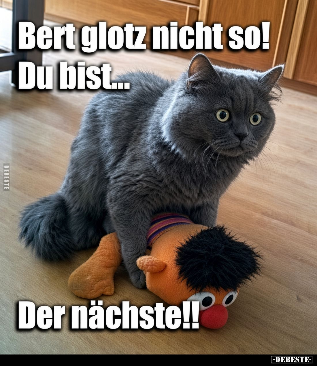 Bert glotz nicht so!
Du bist...
Der nächste!!