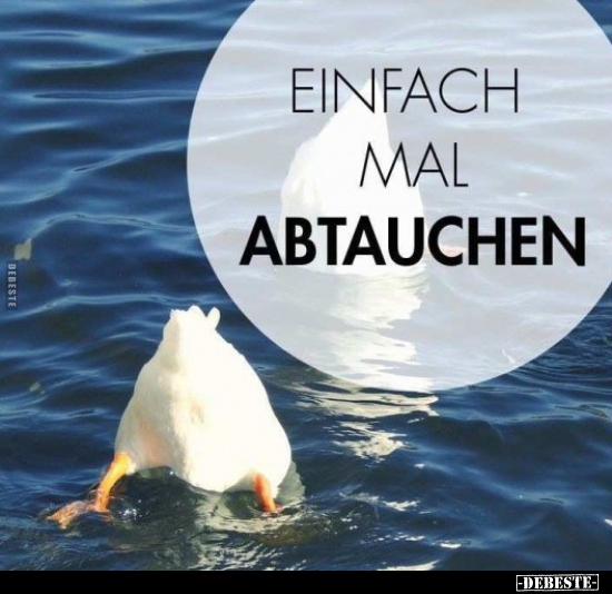 Einfach mal abtauchen! - Lustige Bilder | DEBESTE.de